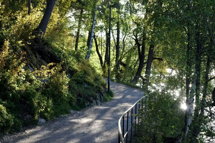 View from the nature reserve Årstaskogen in Stockholm, Sweden. Photo: Ascilto (CC BY-SA 4.0)