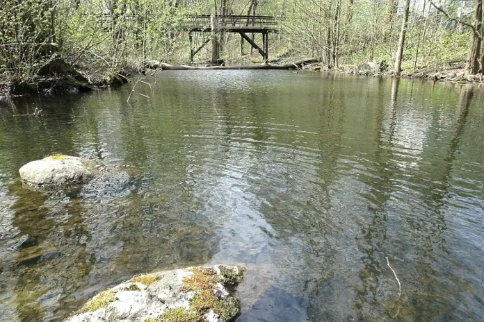 The stream ravine of Årstaskogen at its outlet to Årstaviken. Photo: Holger.Ellgaard (CC BY-SA 4.0)