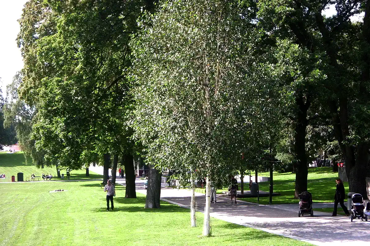 Vasaparken along Odengatan in Vasastan, Stockholm. Photo: Holger.Ellgaard (CC BY-SA 3.0)