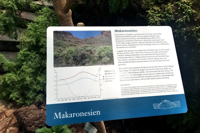 The Macaronesia region (Canary Islands, Madeira, Azores, and Cape Verde) has its own section at the Bergius Botanic Garden. © StockholmMuseum.com