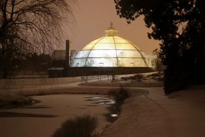 The Victoria Greenhouse, Bergius Botanic Garden, Stockholm. Photo: Alexandar Vujadinovic (CC BY-SA 4.0)