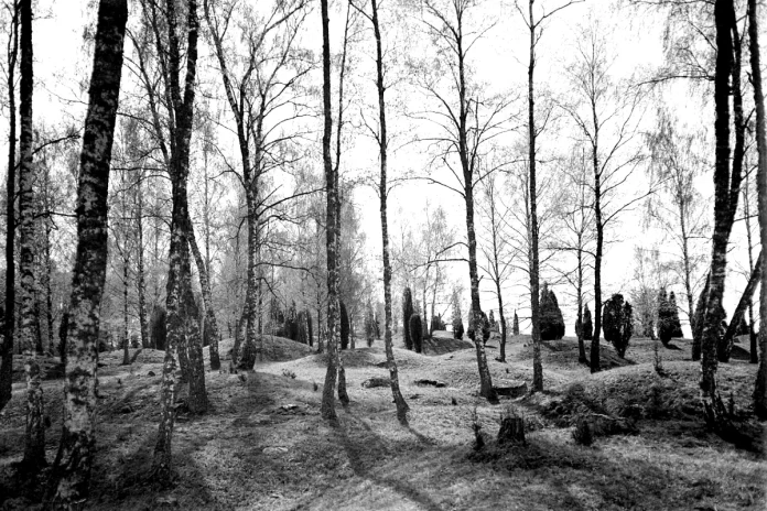 "Hemlanden" (The homelands) Viking Age grave field at Birka in Lake Mälaren. The largest Viking Age grave field in Sweden. Photo: Nils Lagergren, 1946 (CC BY-SA 4.0)