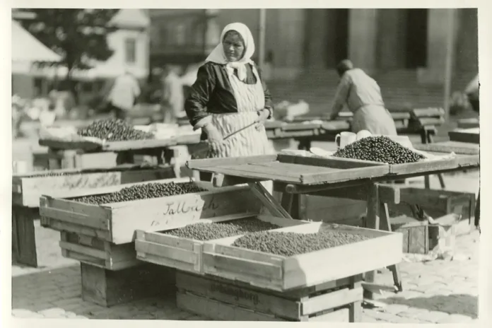 A woman selling berries at Hötorget in Stockholm in 1930. The Concert Hall is visible on the right in the background. Photo: E.D. Schött, Tekniska museet (CC BY 2.5)