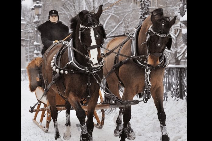 The Royal Stables in Stockholm. Photo: Charlotte Gawell/Kungl. Hovstaterna