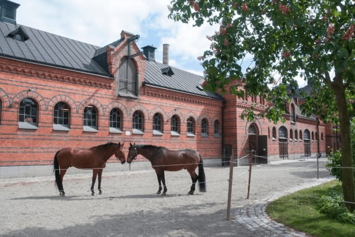 Horses at The Royal Stables, Stockholm. Photo: Sanna Argus Tirén © Kungl. Hovstaterna