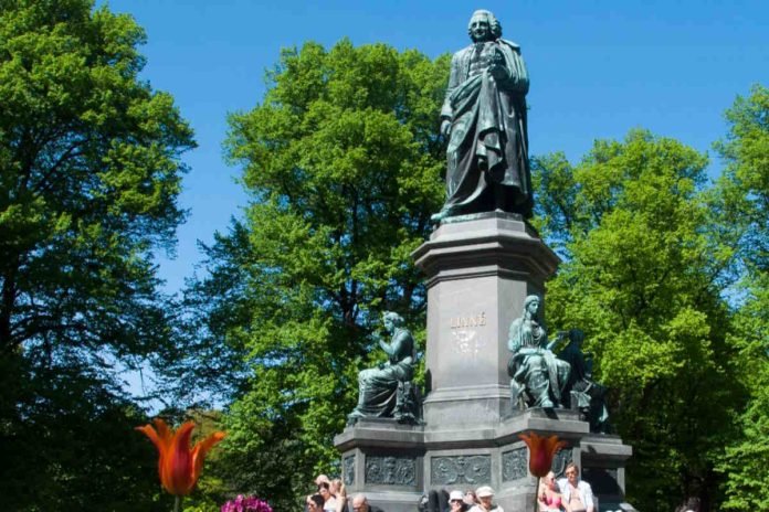 The Linnaeus Monument. Unveiled on May 13, 1885. Fritjof Kjellberg's bronze statue of Carl von Linné (1707-1778). Photo: I99pema (CC BY-SA 3.0).