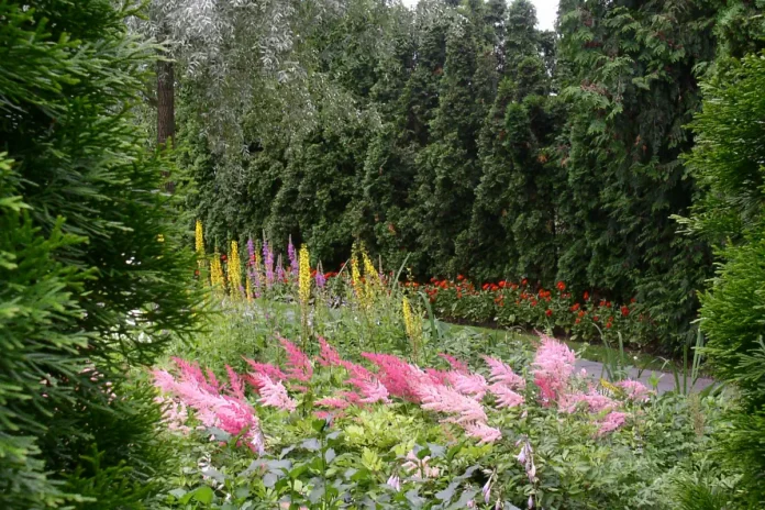 The garden of the Marabou Park in Sundbyberg, Stockholm. Photo: Anette B/Public domain