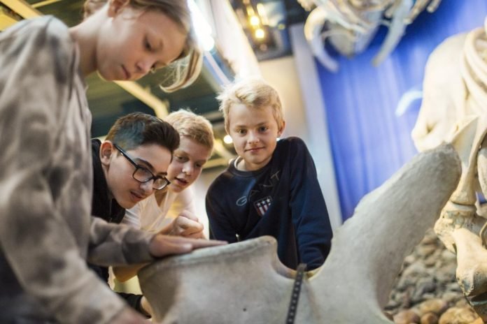 Polar Regions Experience the Arctic and Antarctic grand environment. See animals and plants from landscapes with sweeping pack ice, tundra and endless oceans. Photo: Martin Stenmark.