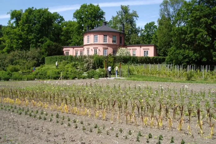 Rosendal Gardens and Orangery. Udo Schröter (CC BY-SA 3.0)