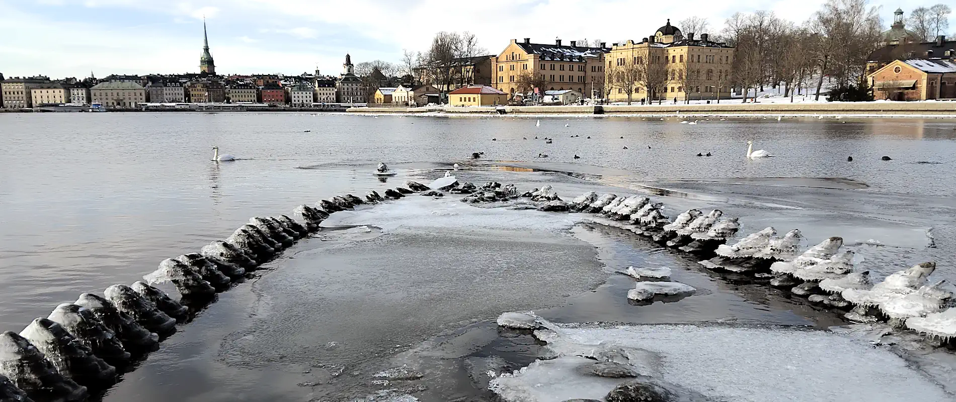View towards Gamla Stan from Kastellholmen, as well as the rarely visible wreck of Grå Ulven due to low water levels in 2026.