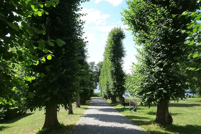 Taxinge, avenue towards the west, towards Lake Mälaren. Photo: Holger.Ellgaard (CC BY-SA 4.0)