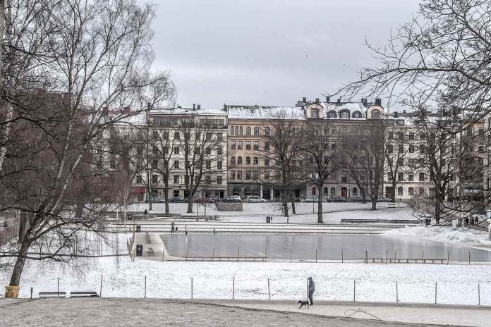 Vasaparken, winter time.