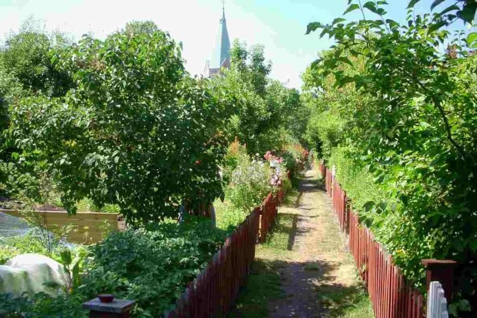 Barnängens Allotment Garden Association in Vitabergen, Stockholm.