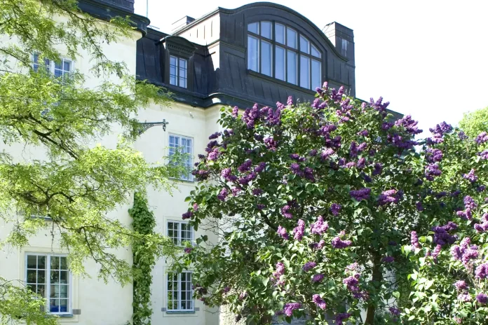 The Waldemarsudde Palace and lilacs. Photo: Lars Edelholm/Prins Eugens Waldemarsudde