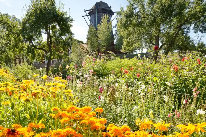 The garden at Waldemarsudde. Photo: © Yanan Li/Prins Eugens Waldemarsudde